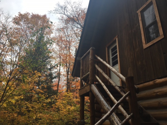 Our cabin - Wolf Den Hostel